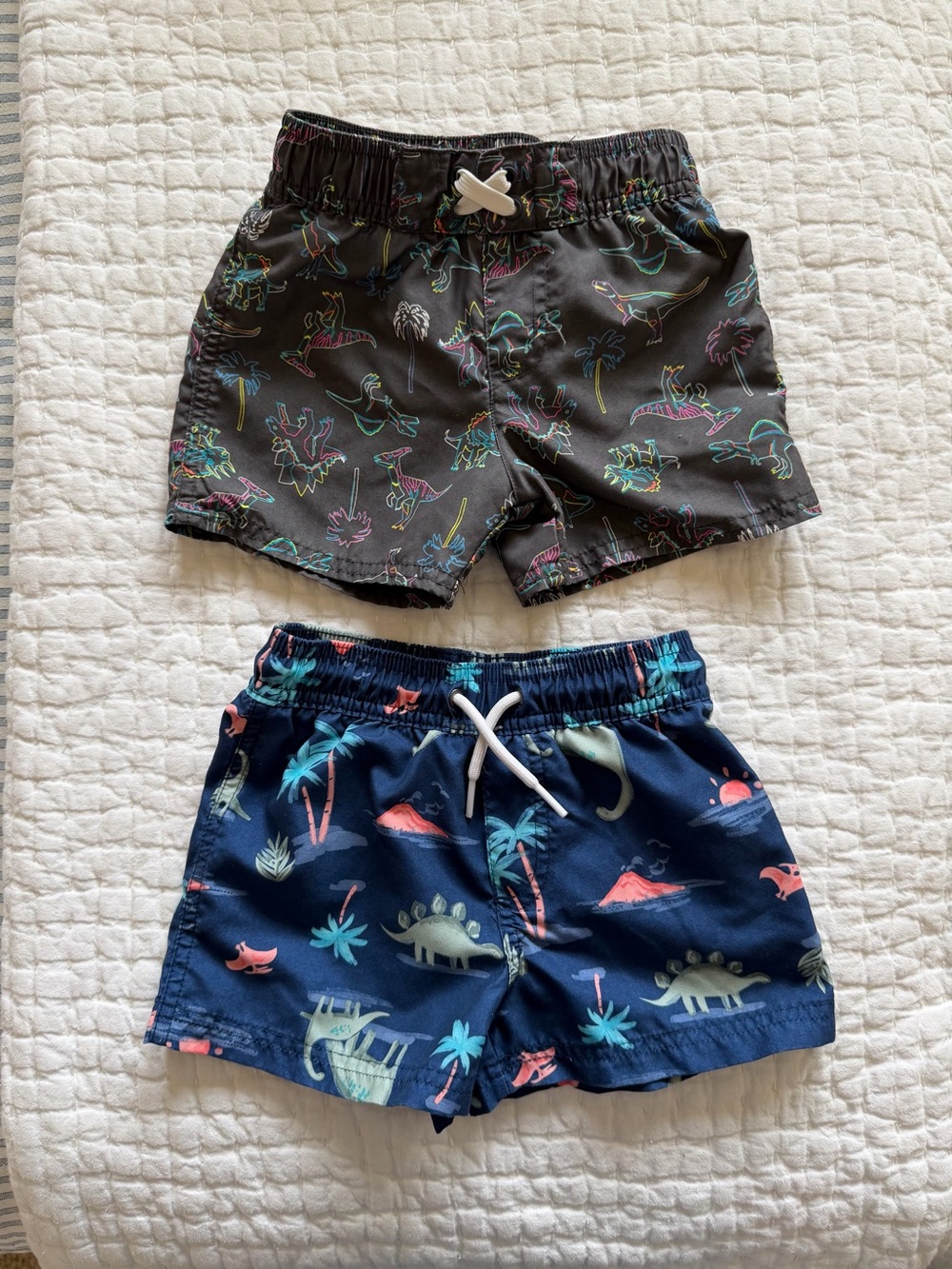 Cat & Jack 2T Dino Print Swim Shorts Bundle